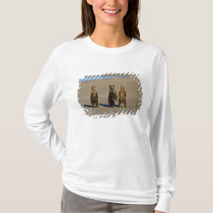 Camiseta EUA. Alasca. Filhotes de Urso Pardo Costeiro