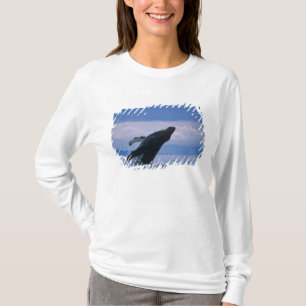 Camiseta EUA, Alasca, Floresta Nacional Tongass, Jubarte