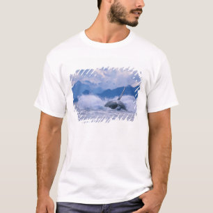 Camiseta EUA, Alasca, Floresta Nacional Tongass, Jubarte