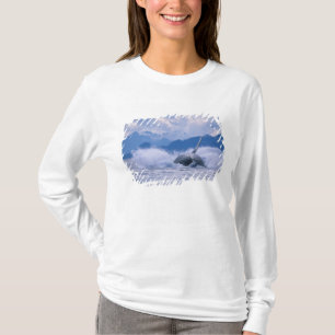 Camiseta EUA, Alasca, Floresta Nacional Tongass, Jubarte
