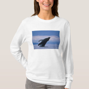 Camiseta EUA, Alasca, Floresta Nacional Tongass, Jubarte
