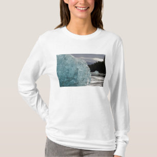 Camiseta EUA, Alasca, Floresta Nacional Tongass, Tracy 2