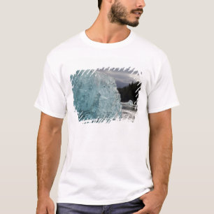 Camiseta EUA, Alasca, Floresta Nacional Tongass, Tracy 2