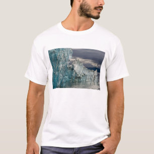 Camiseta EUA, Alasca, Floresta Nacional Tongass, Tracy 3