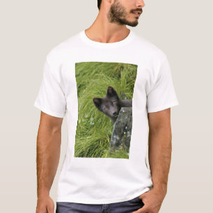 Camiseta EUA, Alasca, Ilhas Pribilof, St Paul. Azul