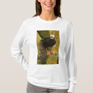 Camiseta EUA, Alasca, Ilhas Pribilof, St Paul. Tupida
