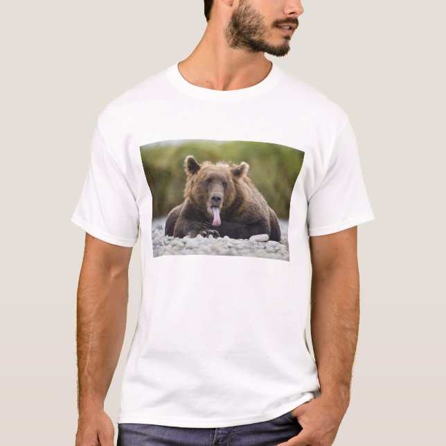 Camiseta EUA, Alasca, Parque Nacional de Katmai, Baía de Ku (Frente)