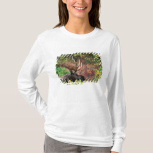 Camiseta EUA, Alasca, Parque Nacional Denali, Bull Moose