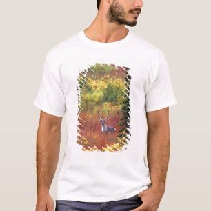 Camiseta EUA, Alasca, Parque Nacional Denali. Caribu
