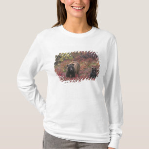 Camiseta EUA, Alasca, Parque Nacional Denali. Urso pardo