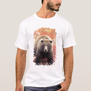 Camiseta EUA, Alasca, Parque Nacional Denali, urso-pardo fê