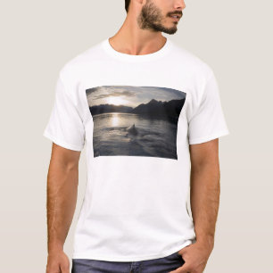 Camiseta EUA, Alasca, Parque Nacional Glacier Bay,