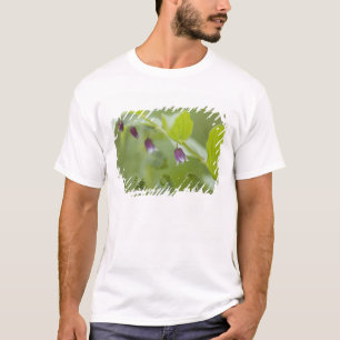 Camiseta EUA, Alasca, Parque Nacional Glacier Bay.