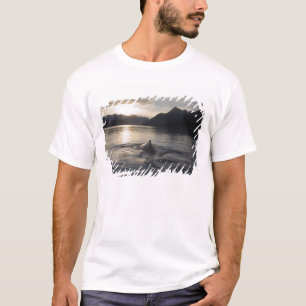 Camiseta EUA, Alasca, Parque Nacional Glacier Bay,