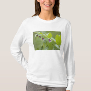 Camiseta EUA, Alasca, Parque Nacional Glacier Bay.