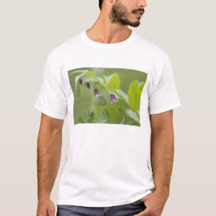 Camiseta EUA, Alasca, Parque Nacional Glacier Bay.