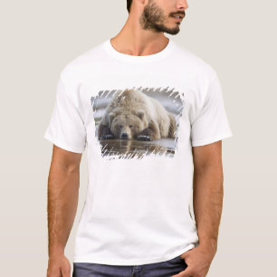 Camiseta EUA, Alasca, Parque Nacional Katmai, Urso Pardo