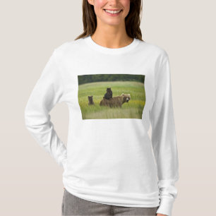 Camiseta EUA, Alasca, Parque Nacional Lake Clark