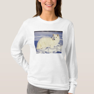 Camiseta EUA, Alasca. Raposa ártica com pelagem de inverno