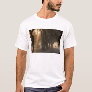 Camiseta EUA; América do Norte; Geórgia; Savannah. Meninos
