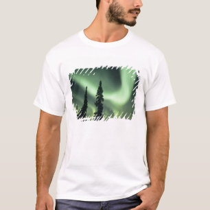 Camiseta EUA, área de Fairbanks, Alasca Central, Aurora 2