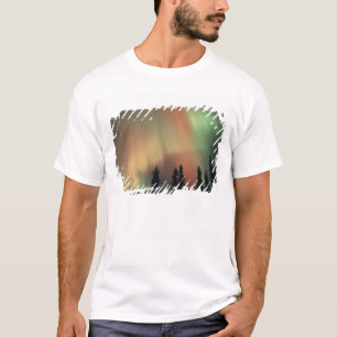 Camiseta EUA, área de Fairbanks, Alasca Central, Aurora 3
