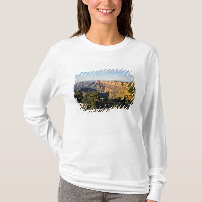 Camiseta EUA, Arizona, Grand Canyon National Park, View (Frente)