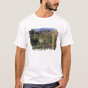 Camiseta EUA, Arizona, Monumento Nacional Organ Pipe.