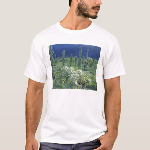 Camiseta EUA, Arizona, Parque Nacional do Cacto Organ Pipe