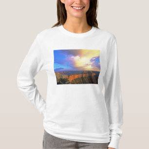 Camiseta EUA, Arizona, Parque Nacional Grand Canyon. Vista