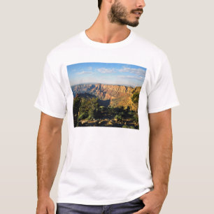 Camiseta EUA, Arizona, Parque Nacional Grand Canyon, Vista