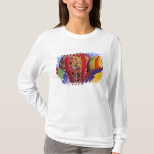 Camiseta EUA, Arizona, Val Vista. Colorido balão de ar