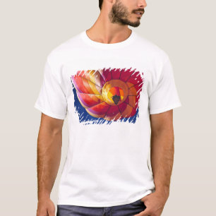 Camiseta EUA, Arizona, Val Vista. Um balão de ar quente col