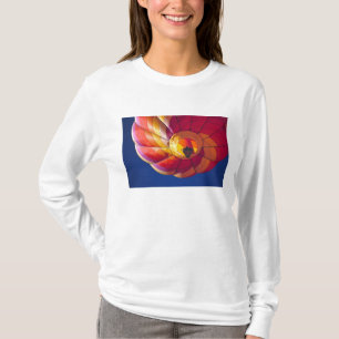 Camiseta EUA, Arizona, Val Vista. Um balão de ar quente col