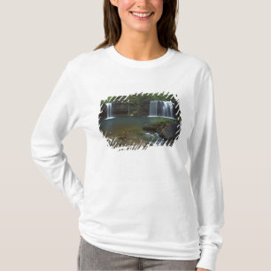 Camiseta EUA, Arkansas, Ozark- St Francis Nacional