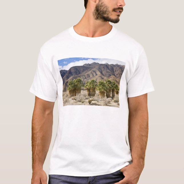 Camiseta EUA, Califórnia, Anza-Borrego Desert State Park. (Frente)