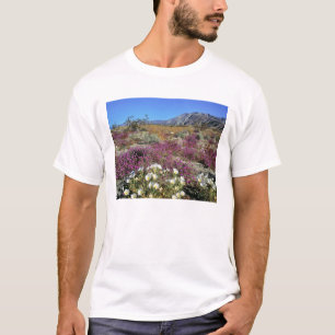 Camiseta EUA, Califórnia, Anza-Borrego DSP. Duna ao anoitec