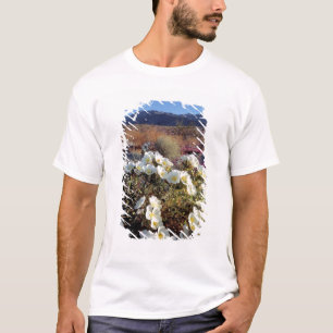 Camiseta EUA, Califórnia, Anza-Borrego DSP. Dune à noite 