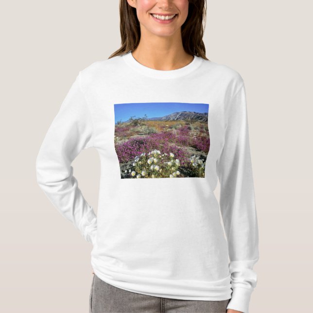 Camiseta EUA, Califórnia, Anza-Borrego DSP. Noite de duna (Frente)