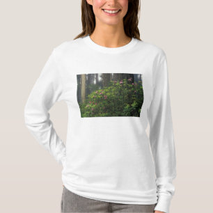 Camiseta EUA, Califórnia, Del Norte, Sequoias Ruas. Park,