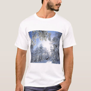 Camiseta EUA, Califórnia, Floresta Nacional de Cleveland,