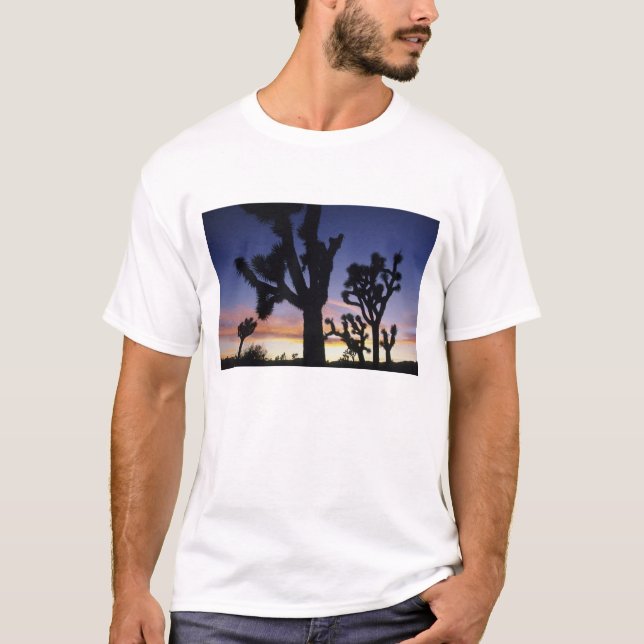 Camiseta EUA, California, Joshua Tree National Park, (Frente)