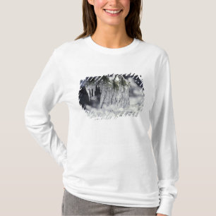 Camiseta EUA, Califórnia, Lago Tahoe. Pingentes de gelo sob