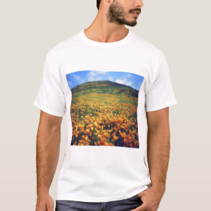 Camiseta EUA, Califórnia, Lake Elsinore. Califórnia