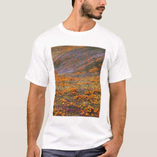 Camiseta EUA, Califórnia, Montanhas Tehachapi, 2