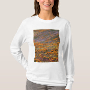 Camiseta EUA, Califórnia, Montanhas Tehachapi, 2