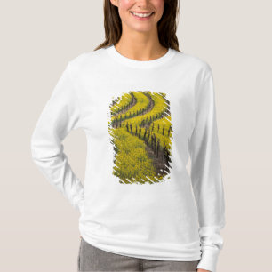 Camiseta EUA, Califórnia, Napa Valley, Los Carneros Ava.