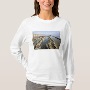 Camiseta EUA, Califórnia, Papais noeis Barbara, praia de H