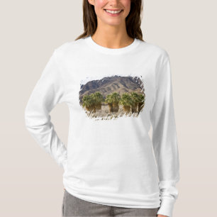 Camiseta EUA, Califórnia, Parque Estadual do Deserto de Anz