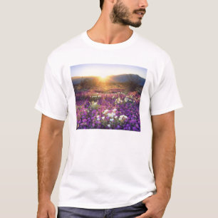 Camiseta EUA, Califórnia, Parque Estadual do Deserto de Anz